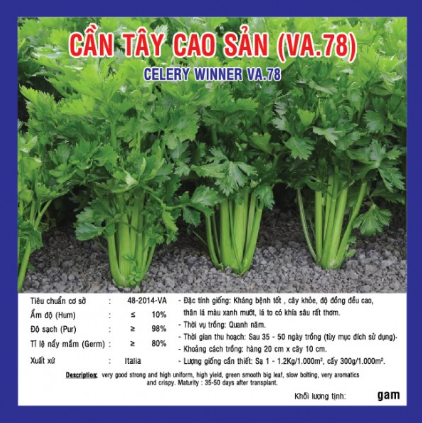 Hạt giống cần tây